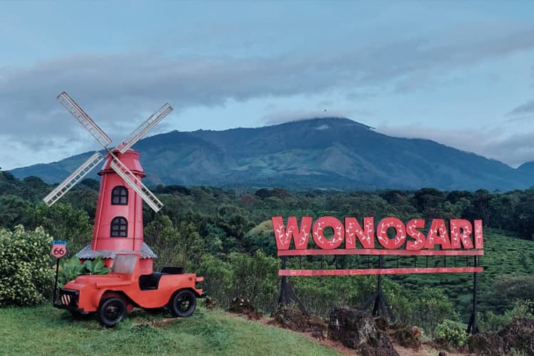 Kebun Teh Wonosari, Destinasi Camping Favorit dengan Panorama Gunung Arjuna